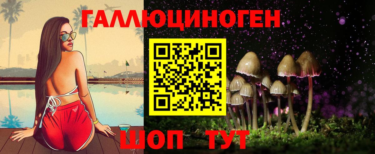 Галлюциногенные грибы Cubensis  Вход с VPN  Ставрополь  Галлюциногенные грибы GOLDEN TEACHER 