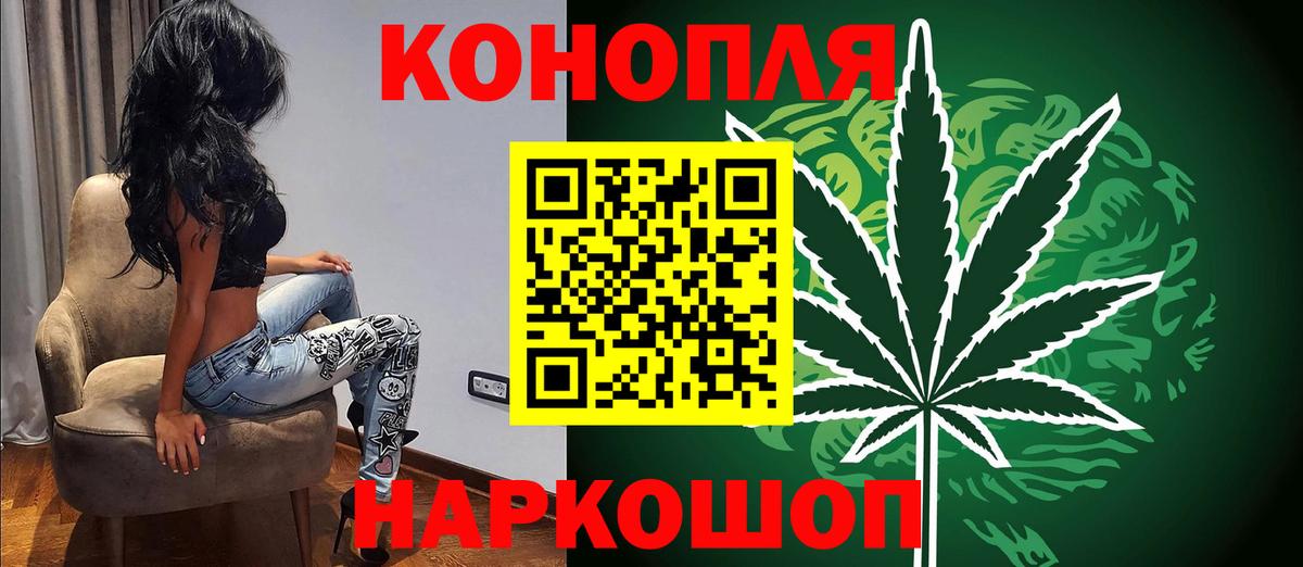 Конопля SATIVA & INDICA  Бошки марихуана конопля  Вход с VPN  Марихуана план  Ставрополь 