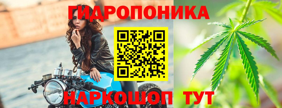 МАРИХУАНА OG Kush Ставрополь